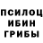 Галлюциногенные грибы ЛСД TikTube