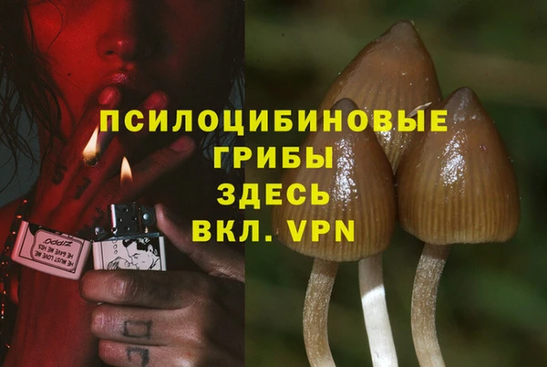 мдма Зеленодольск